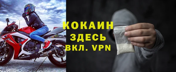 apvp Богородицк
