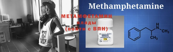 ПСИЛОЦИБИНОВЫЕ ГРИБЫ Богданович
