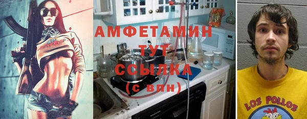apvp Богородицк