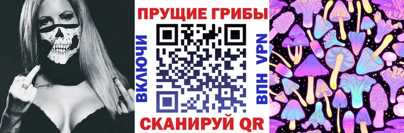 Галлюциногенные грибы Psilocybine cubensis  Минусинск 